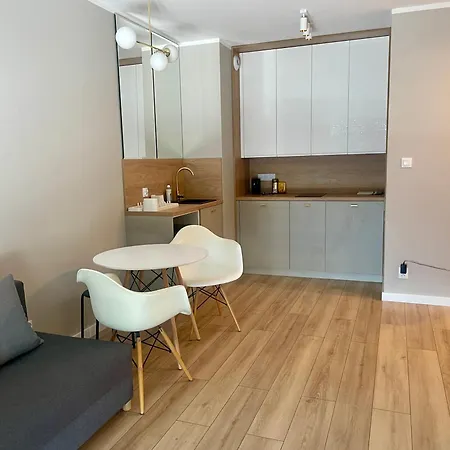 Z Widokiem Na Jezioro I Garazem