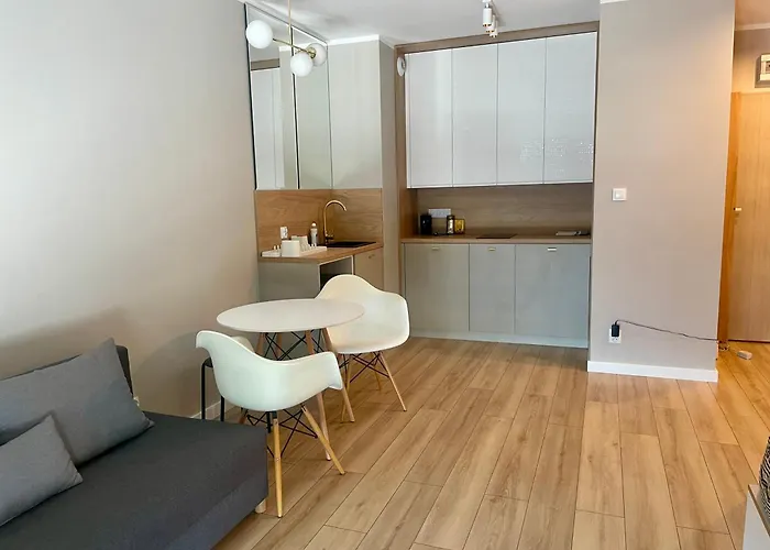 Z Widokiem Na Jezioro I Garazem